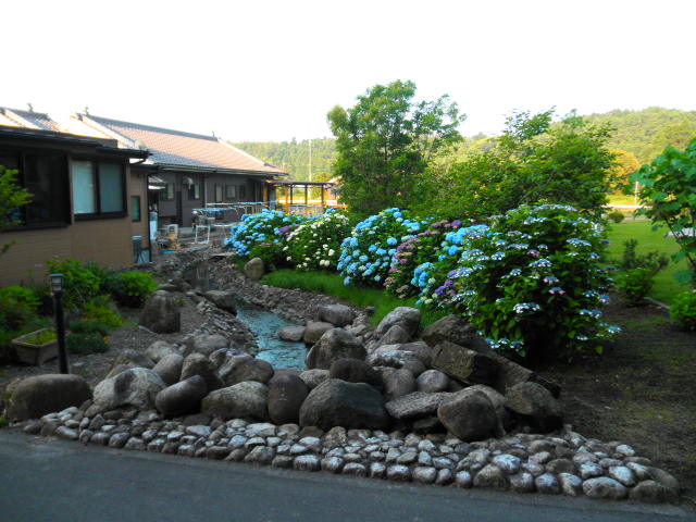 �����餮�Ϥ��ʤ��ξд餬���ʤ��δ�ִ餬���������ϰ�͵��Σ�1����̩�����������Τ��ʡ�����ʬ���θ����ƤߤƤϡ��������ʻҶ����󤬴�־����5��28�������餮���դλ��۲֤Ǥ�