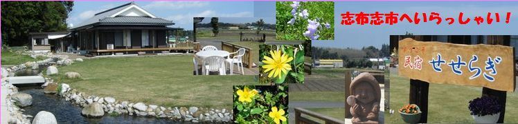 民宿せせらぎ 鹿児島県有明町蓬原4100−4 電話 099−475−1008